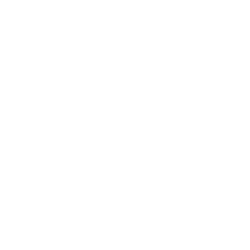 Firmenlogo von American International Group, Inc.