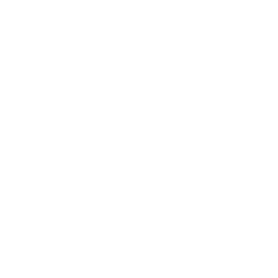 Firmenlogo von BorgWarner Inc.