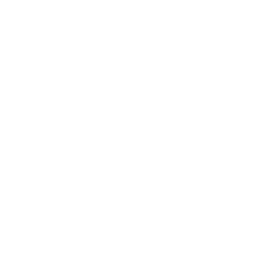 Firmenlogo von Main Street Capital Corporation