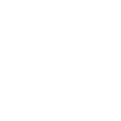 Firmenlogo von XPeng Inc.
